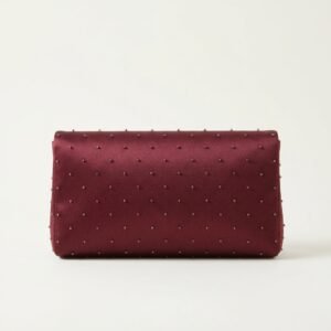 Lumiere Evening Bag