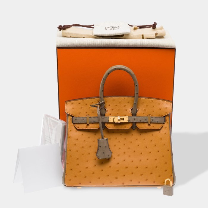 Hermès - Birkin 25 - Handbag - Image 2