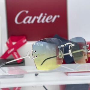 Cartier - New Piccadilly Silver Gold Planted 18k (No Customs Duties) - Sunglasses