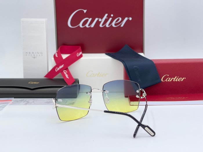 Cartier - New Piccadilly Silver Gold Planted 18k (No Customs Duties) - Sunglasses - Image 7