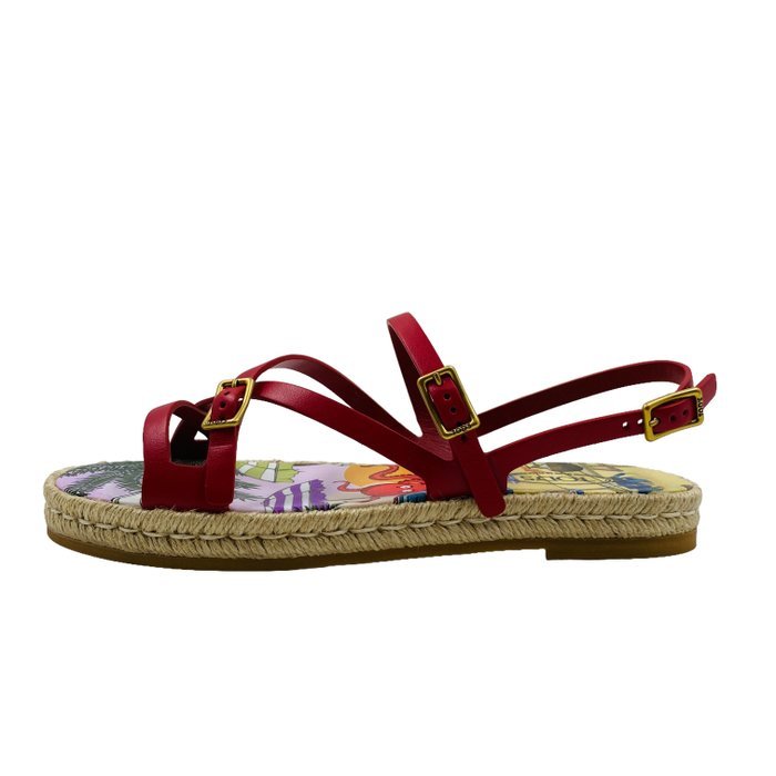 Tod's - Sandals - Size: EU 36 - New in box - Image 8