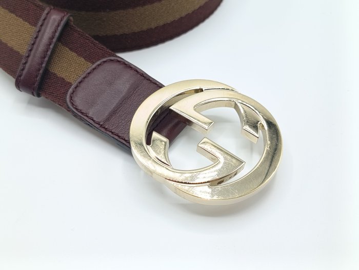 Gucci - Belt - Image 3