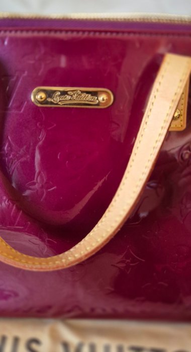 Louis Vuitton - Bag - Image 2
