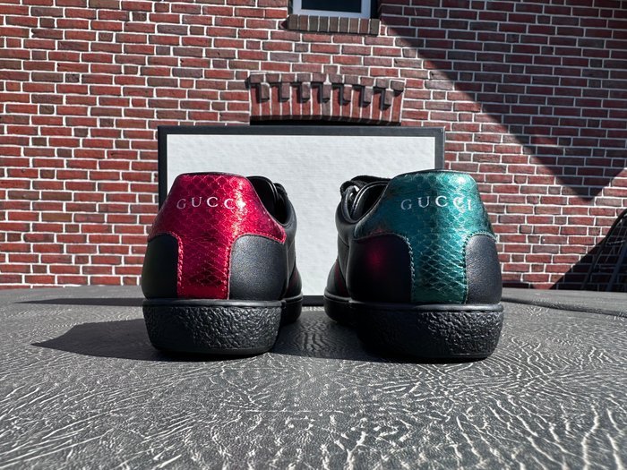 Gucci - ACE - Sneakers - Size: EU 36 - Image 4